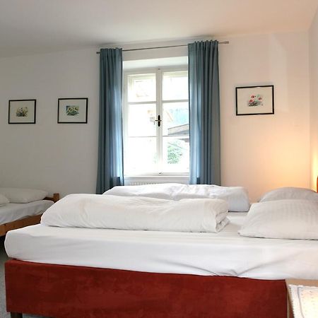 צל אם צילר Zillertal Apartments מראה חיצוני תמונה